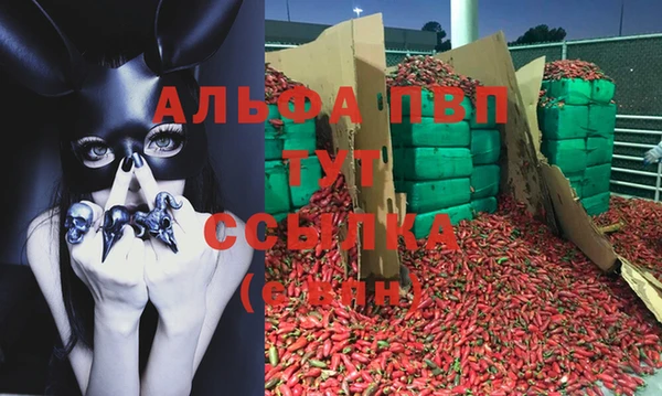 трава Карпинск